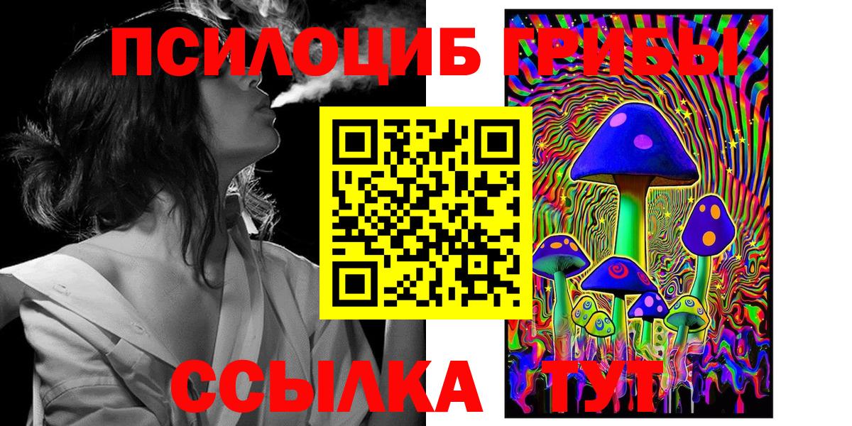 Галлюциногенные грибы Magic Shrooms  Псилоцибиновые грибы GOLDEN TEACHER  Вход с VPN  Верхняя Пышма 